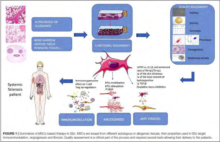 Front. Immunol. 9:2013.