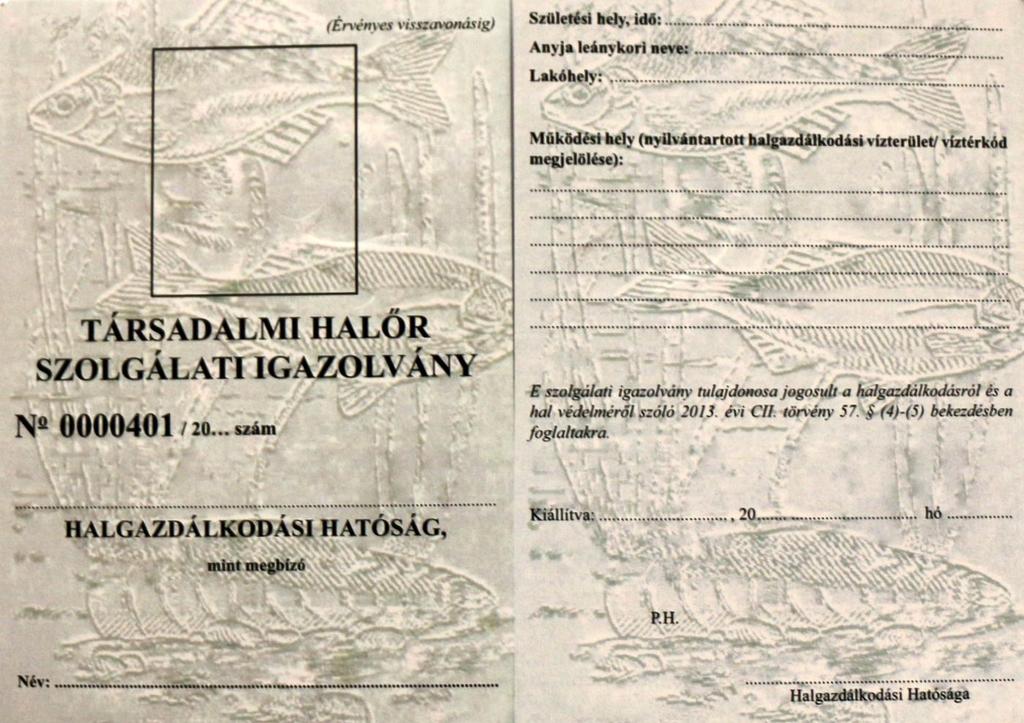 Társadalmi 