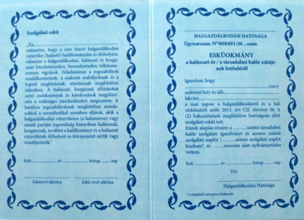 társadalmi