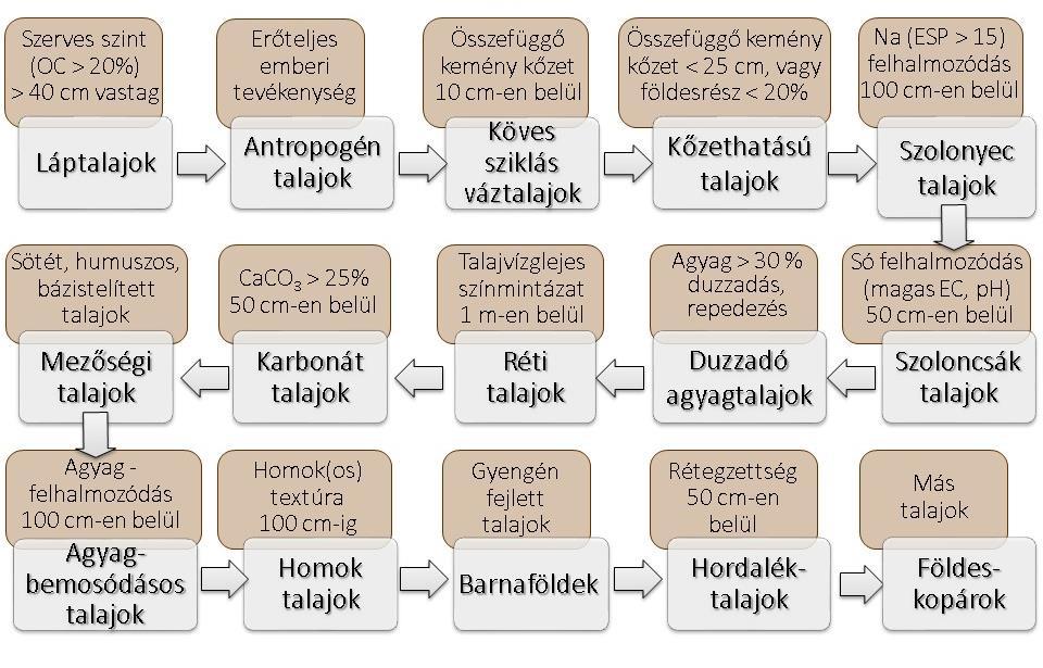 Egyszerűsített határozó kulcs a megújított