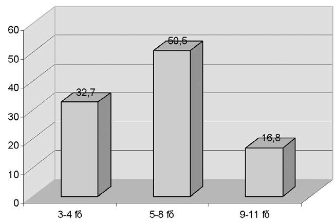A jelenlegi felmérésben szereplő társaságok 62%- a tekinthető nagyvállalatnak, 38%-uk pedig a kis- és középvállalati kategóriába tartozik.
