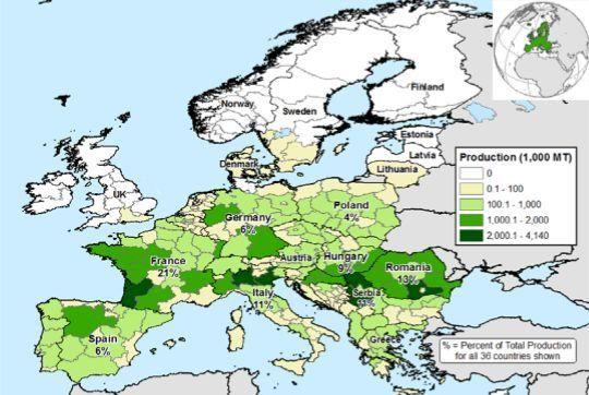 Az előrejelzett EU kukorica 2017/18 év termelését 1,0 millió metrikus tonnával (mmt) növelték a múlt hónaptól 61,1 mmt-a, mely 0,3 mmt-al van a múlt évi termelés alatt és 2,9 millió vagy 4%-al van az