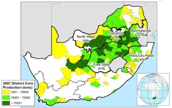 Kép. Dél Afrika kukorica termelése (2011-2015) Hozamot átlag felettire becsülték a kedvező csapadék miatt a kritikus beporzás és a