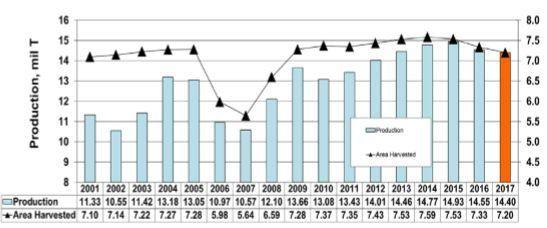 Az ültetett terület 2014/15 óta csökken. Kínai források szerint az elmúlt 5 évben a vetésterület fokozatosan csökken főleg közép Kína (az elsődleges termesztő régió) területén.