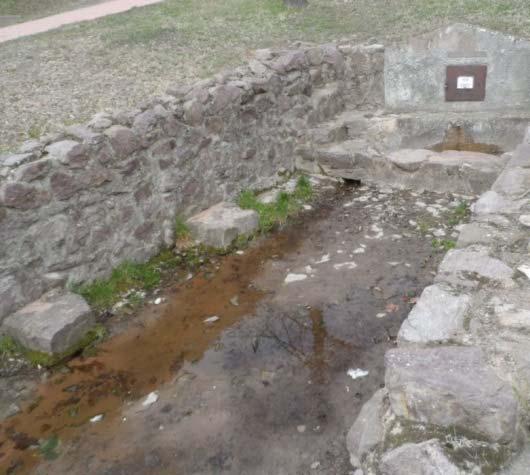 Cser-kút (forrás)