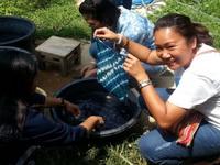 6 DAYS AROUND NORTH TO THE TRAILS OF THAINESS Thai-ness is reflected by its history, culture, believe and way of life.