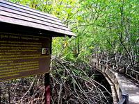 during weekends. Then proceed along the local road to Petchaburi Province.