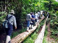 DAY 3 : KHAO YAI NATIONAL PARK BANGKOK After breakfast, proceed to Khao Yai National Park, Thailand s first national park and UNESCO s World Heritage since 2005.