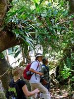 There are many kinds of forests within the park, comprising mixed deciduous forest, dry evere green forest, moist forest and savannah.