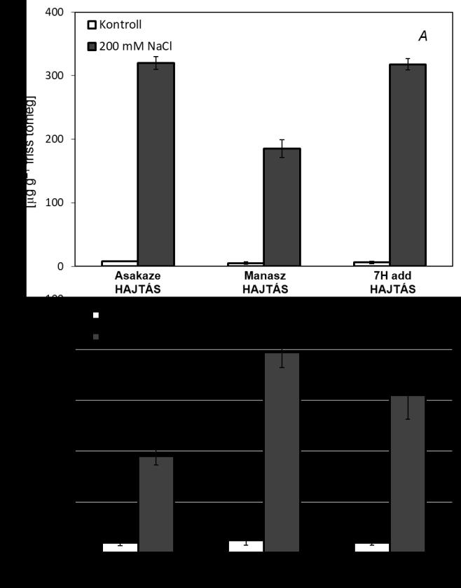 Mivel a K + a gyökérnövekedés folyamatában is nélkülözhetetlen (ROMHELD és KIRKBY 2010), ezért az árpa sóstressz során mutatott sikeresebb gyökérprodukciójában (2.
