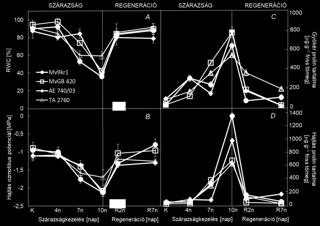 átvészelésére (MOLNÁR et al. 2004). Mindez azonban nem feltétlenül jelenti azt, hogy fotoszintetikus folyamataik ne lennének érzékenyek a vízhiányra (DULAI et al. 2006, 2014).