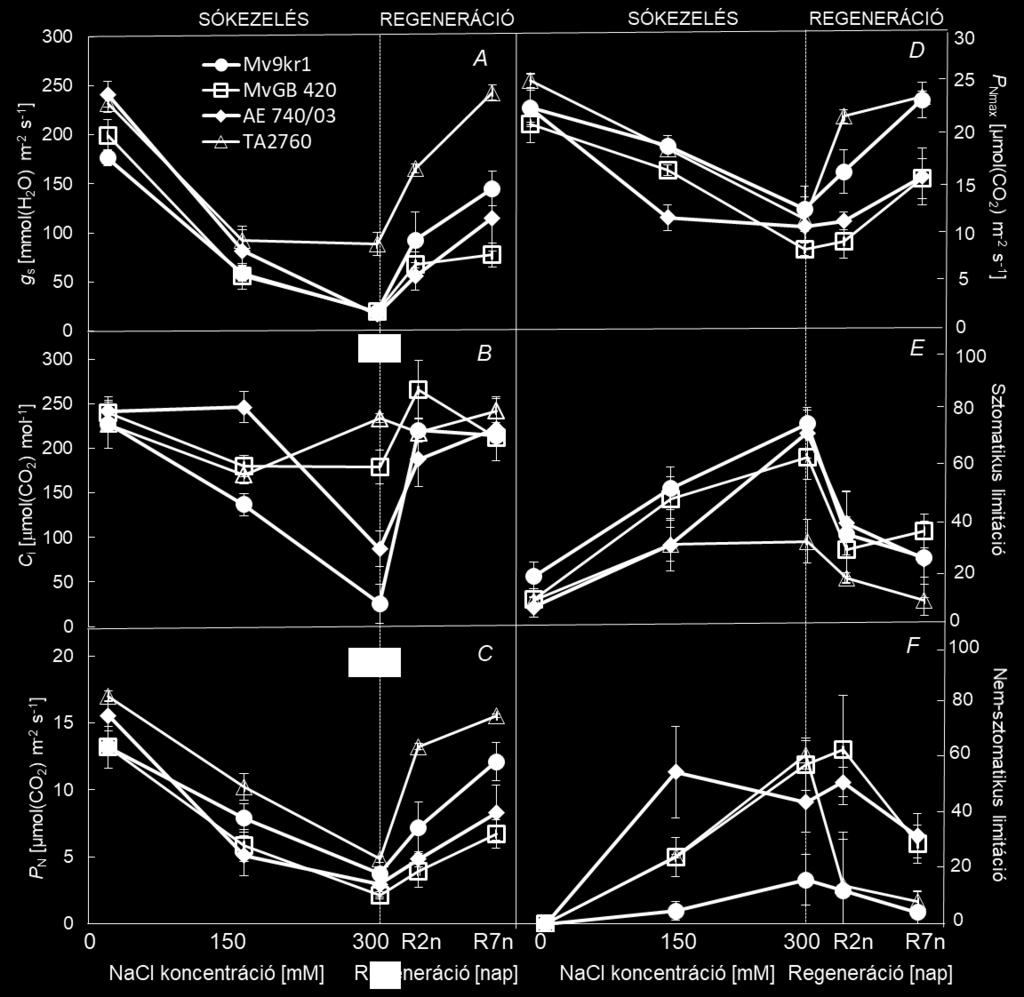 sztómakonduktanciájára (g s) (A), az intercelluláris CO 2 koncentrációjára (C i) (B), a nettó asszimilációs rátájára (C), a telítési CO 2 koncentráción meghatározott maximális asszimilációs rátájára
