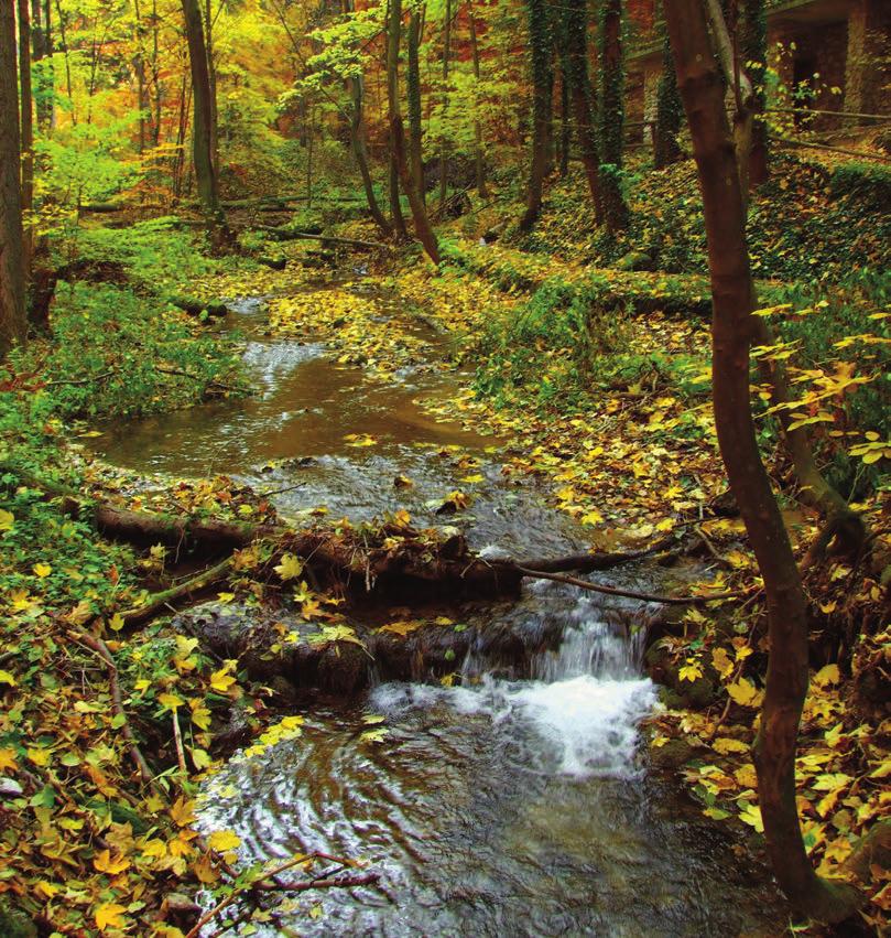 Miskolc WWW.LOKAL.HU HELYBEN VAGYUNK 2018. november 8. 7 Írjon nekünk! Problémája van?