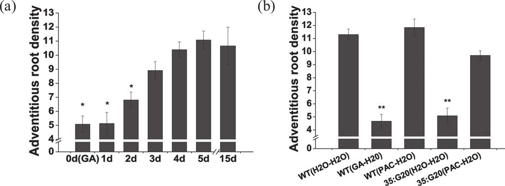 The concentrations of IAA, GA 3, and PAC were each 1 mg l 1. The explants did not generate roots on hormone-free medium. Bars=10 mm. Fig. 9.