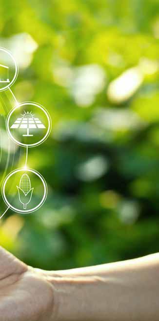 ALTEO ENERGIASZOLGÁLTATÓ NYRT. INTEGRÁLT JELENTÉS 2018 AZ ALTEO CSOPORT A 2019.