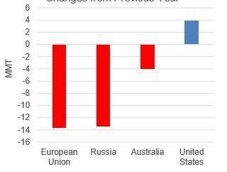 KISEBB GLOBÁLIS TERMELÉS ALACSONYABB FOGYASZTÁSHOZ ÉS KISEBB KÉSZLETEKHEZ VEZET Globális termelés 2018/19-ben 4%-al csökkent az előző évhez képest.