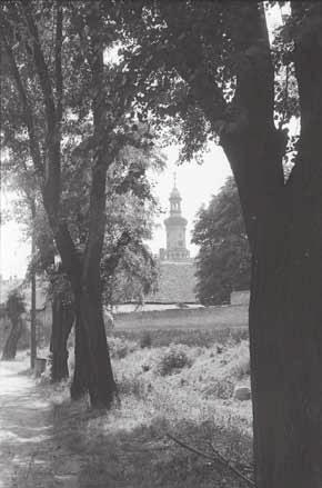 az épületeket fotózva arra törekedett, hogy szinte ne is legyen ember a képen inkább Sopron másik létező arcát gyűjtötte és saját korát, az 1970 körüli éveket fedezte fel.