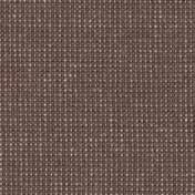 10000012889