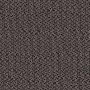 10000012437