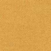 10000012924