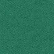 10000012791