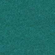10000012794