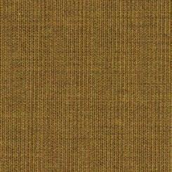 10000012938