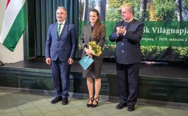 Munkaköri feladatai közé tartozott az erdőtervekre épített erdősítési, erdőnevelési és erdőművelési feladatok végrehajtásának és a tartamos erdőgazdálkodás feltételeinek összehangolása, irányítása és