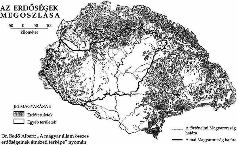 erdőnk van, és az erdősültség meghaladja a 20 százalékot. Erdőt telepíteni vagy újratelepíteni nem olcsó, kockázatos, ráadásul visszafordíthatatlan állapot.