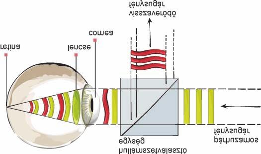 corneal topography, wavefront analysis, Pentacam, ultrasonic pachymetry, PRK, PTK, LASIK, LASEK, epi-lasik Az utóbbi évtizedben a szemészeti vizsgálatok egyre komplexebbé váltak, ezzel egyidejûleg