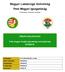 Magyar Labdarúgó Szövetség Pest Megyei Igazgatóság