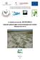A Sándorosi-tavak (HUHN20012) kiemelt jelentőségű természetmegőrzési terület fenntartási terve