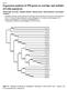 Expression analysis of PIN genes in root tips and nodules of Lotus japonicus