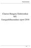 Clarion Hungary Elektronikai Kft. Energiafelhasználási riport 2018
