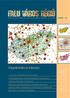 Településhálózat-fejlesztés 2008 / 3. Területfejlesztési és területrendezési szakmai folyóirat A MAGYAR TELEPÜLÉSHÁLÓZAT HELYZETE
