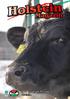 Holstein M agazin. XVIII. XXI. évfolyam 1. 5. szám. 2013/5 www.holstein.hu 1 ISO 9001. Tanúsított cég