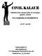 CIVILSOFT-it. Vállalkozási tanácsadó és közigazgatási FELHASZNÁLÓI KÉZIKÖNYV. v4.21 verzió