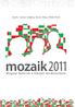 MOZAIK2011 Magyar fiatalok a Kárpát-medencében