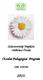 Százszorszép Napközi Otthonos Óvoda. Óvodai Pedagógiai Program OM: 034384 2013.