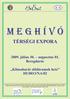 MEGHÍVÓ TÉRSÉGI EXPORA. 2009. július 30. augusztus 01. Beregdaróc. Klímabarát zöldáramok hete HU0013/NA/02