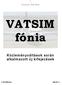 - 1 - Közleményváltások során alkalmazott új kifejezések. 2. VATSIM fónia 2005-05-11