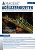 Magyar Acélszerkezeti Szövetség lapja Journal of the Hungarian Steel Structure Association