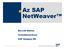 Az SAP NetWeaver. Berczik Márton. termékmenedzser. SAP Hungary Kft. SAP 2004, SAP NetWeaver és mysap Business Suite Herger Tamás 1