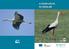 A fehér gólya és védelme. better management of natura 2000 sites