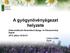 A gyógynövényágazat helyzete. Zalaszentlászlói Nemzetközi Gyógy- és Fűszernövény Napok 2013. július 19-20-21. Czirbus Zoltán Elnök