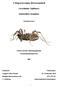 A Magyarországon élő kaszáspókok. (Arachnida: Opiliones) faunisztikai vizsgálata