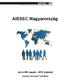 AIESEC Magyarország Az év HR csapata - 2010 pályázat