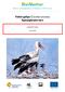 Fehér gólya (Ciconia ciconia) fajmegőrzési terv