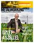 üzlet a széllel #1/2009 Németország az élen: kínai módra Megtérül a beruházás, - igen, ilyen gyorsan Miért szeretjük mindannyian a csipkét?