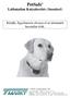 PetSafe Láthatatlan Kutyakerítés (Standard) Kérjük, figyelmesen olvassa el az útmutatót használat előtt.